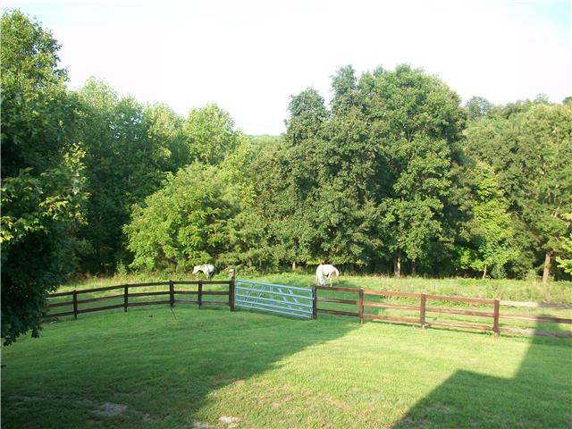 3050 Nicole Road Clarksville, TN 37040 - Photo 18 of 20 Plenty of fenced pasture so bring the horses, cows, etc. No restrictions!!