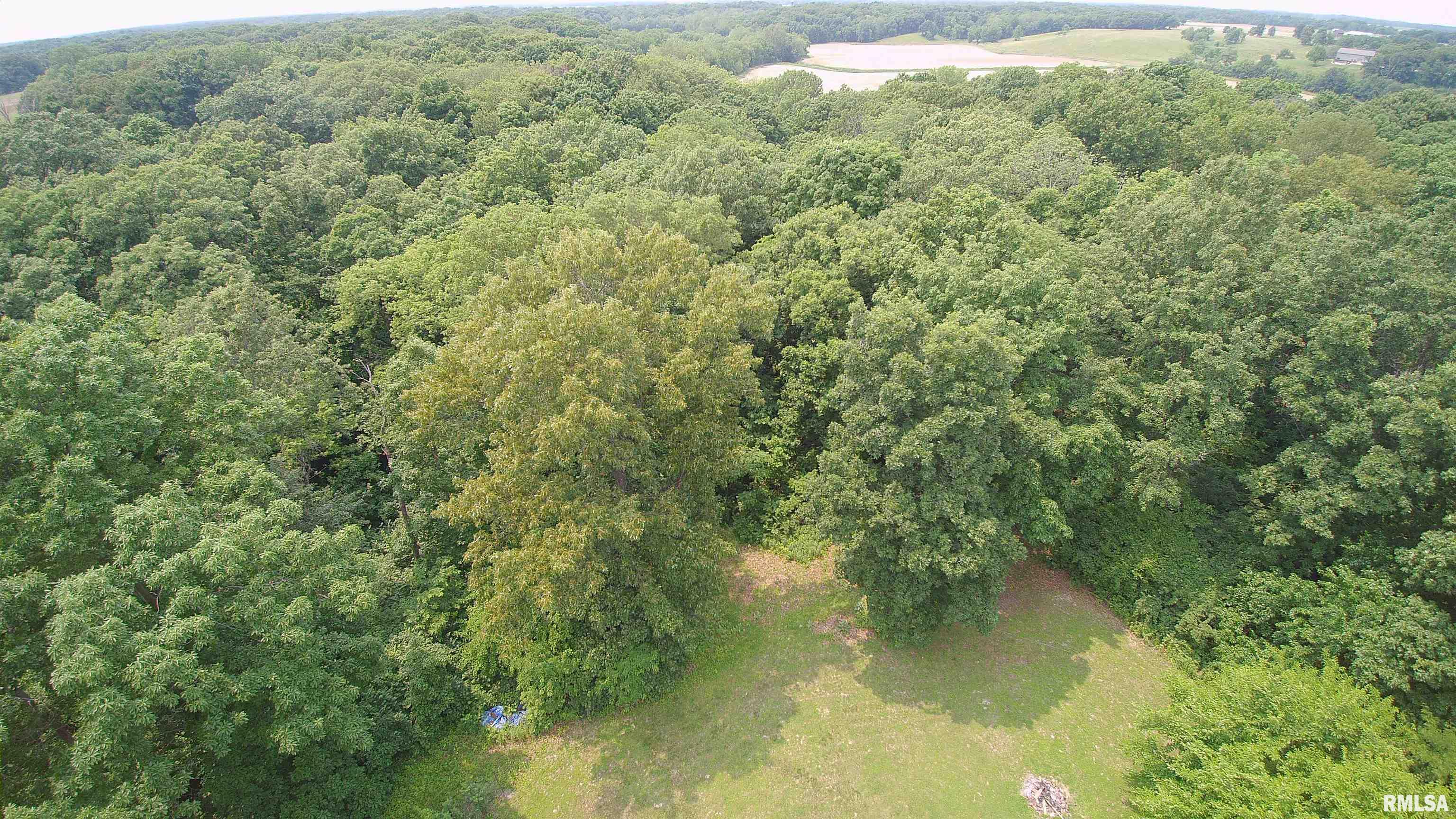 27425 Quarton Road Palmyra, IL 62674 - Photo 35 of 39