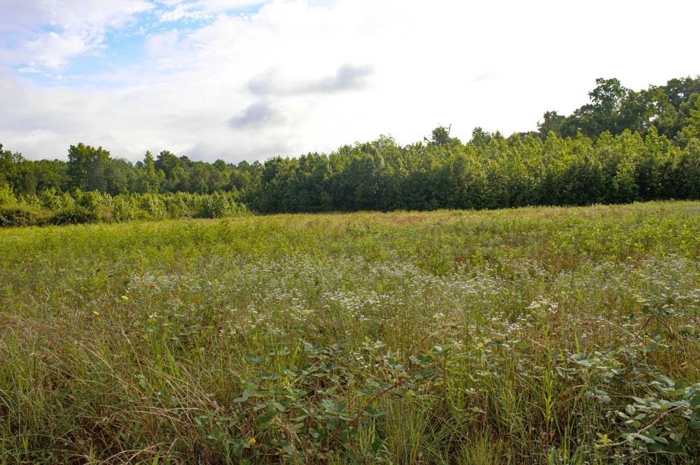 Buck Shoals Road Gaffney, SC 29341 - Photo 1 of 20