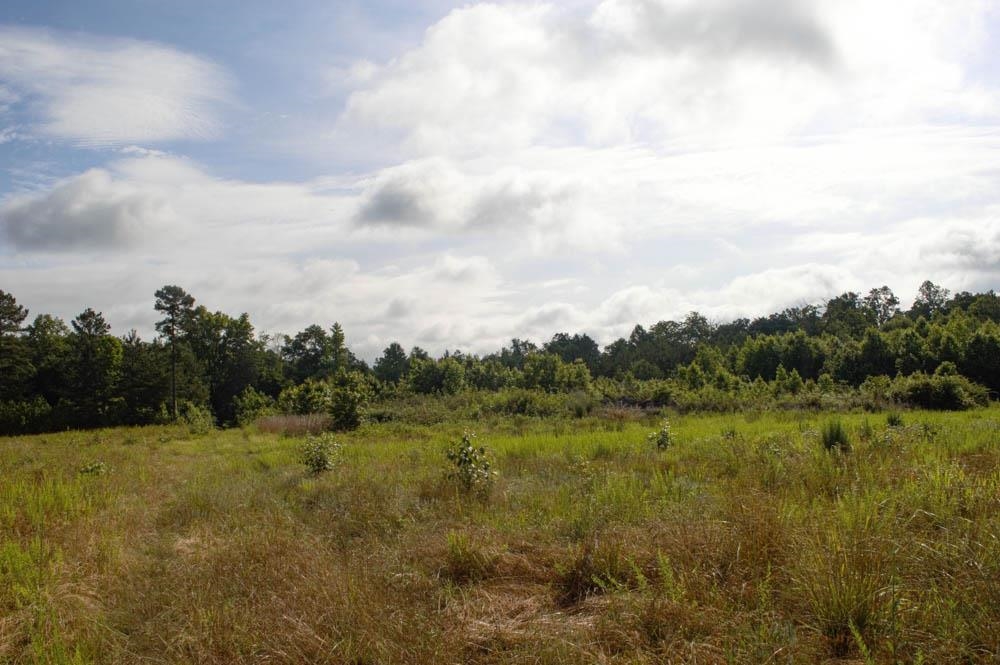 Buck Shoals Road Gaffney, SC 29341 - Photo 11 of 20