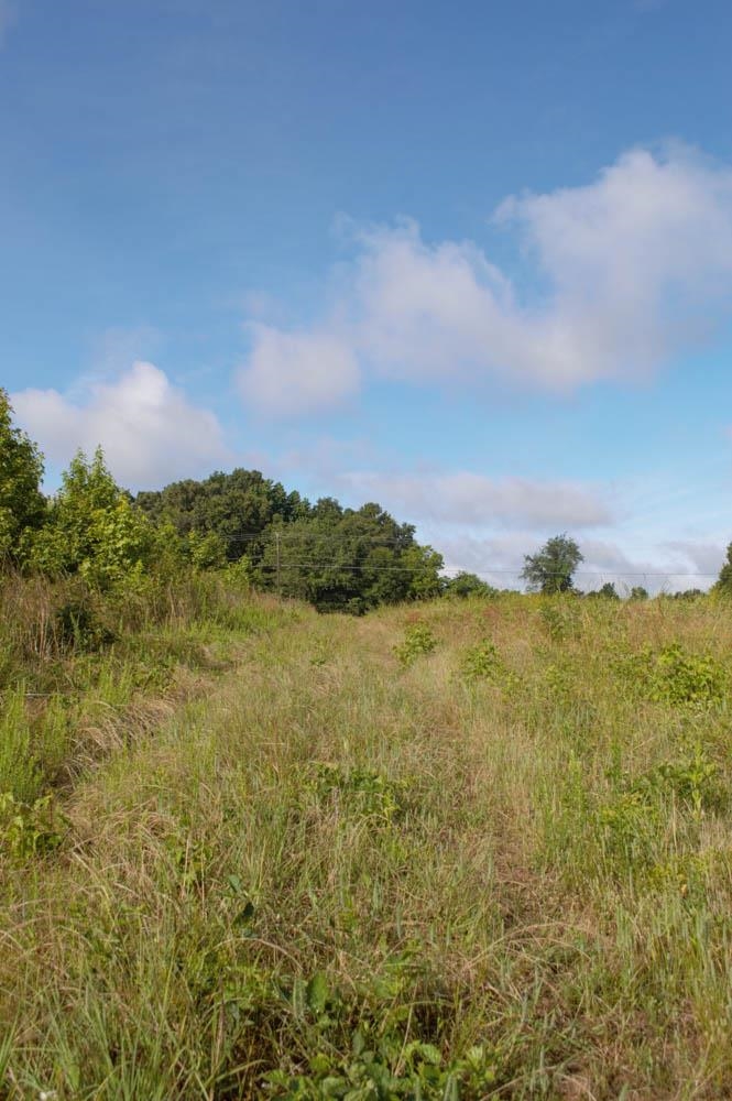 Buck Shoals Road Gaffney, SC 29341 - Photo 12 of 20