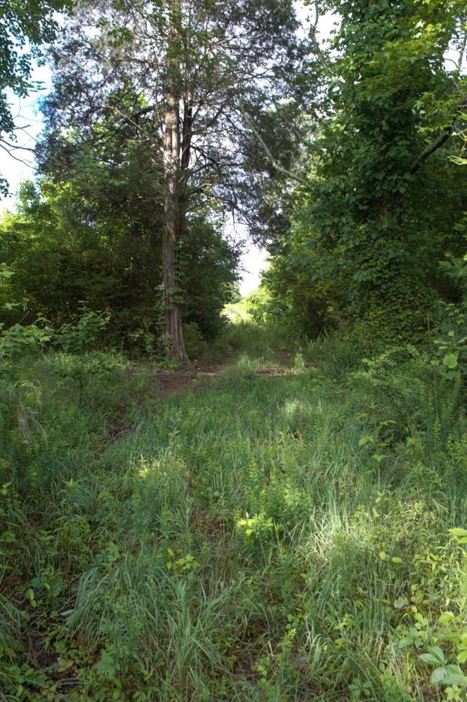 Buck Shoals Road Gaffney, SC 29341 - Photo 16 of 20