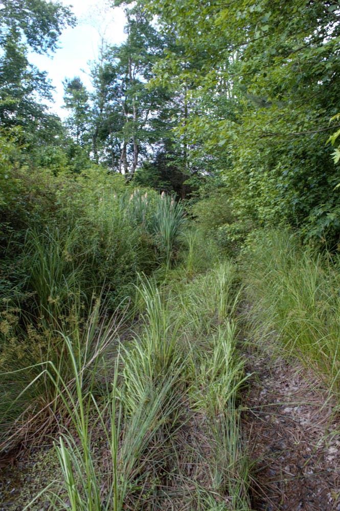Buck Shoals Road Gaffney, SC 29341 - Photo 18 of 20