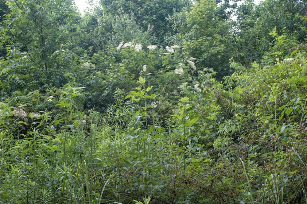 Buck Shoals Road Gaffney, SC 29341 - Photo 19 of 20