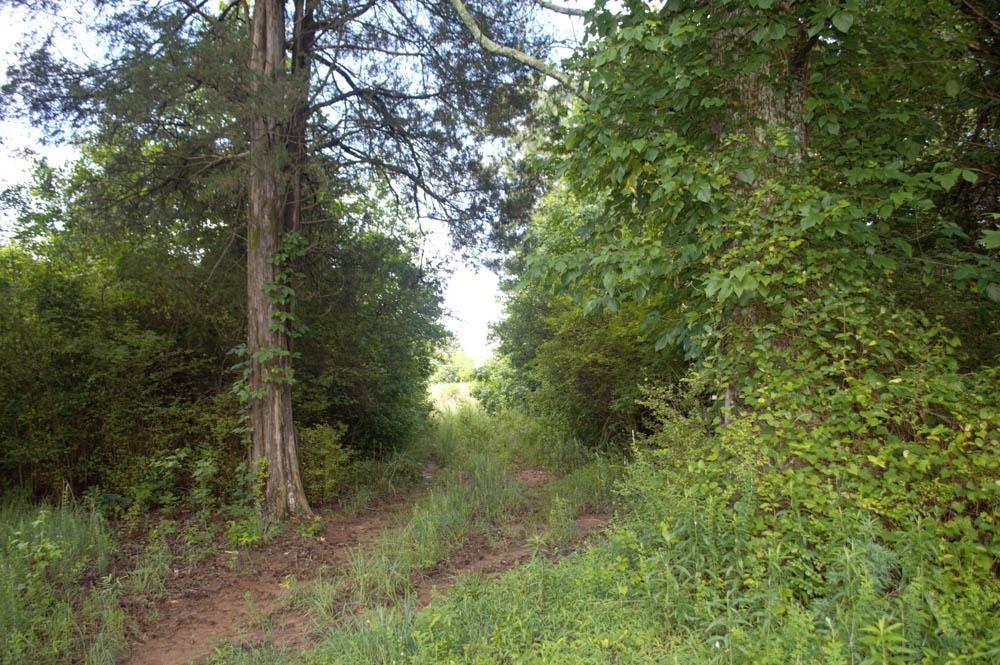 Buck Shoals Road Gaffney, SC 29341 - Photo 20 of 20
