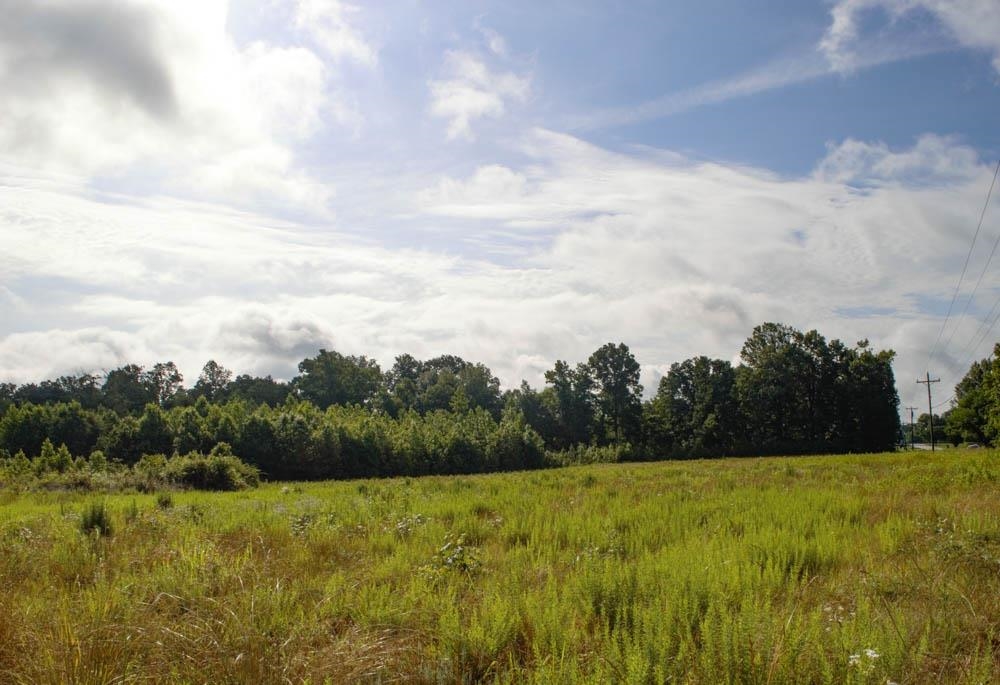 Buck Shoals Road Gaffney, SC 29341 - Photo 2 of 20