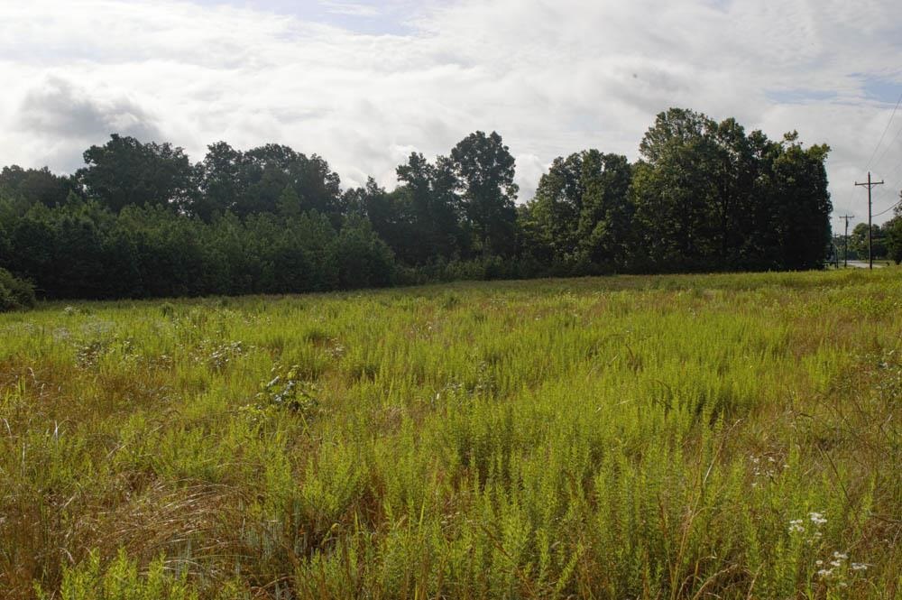 Buck Shoals Road Gaffney, SC 29341 - Photo 3 of 20