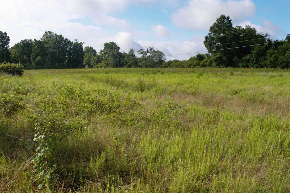 Buck Shoals Road Gaffney, SC 29341 - Photo 4 of 20