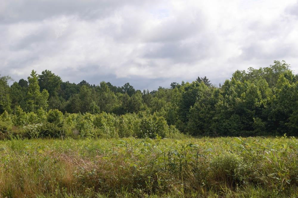 Buck Shoals Road Gaffney, SC 29341 - Photo 6 of 20