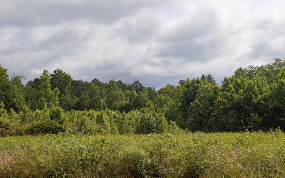 Buck Shoals Road Gaffney, SC 29341 - Photo 7 of 20
