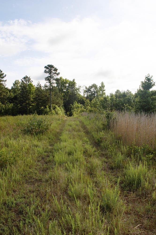 Buck Shoals Road Gaffney, SC 29341 - Photo 8 of 20
