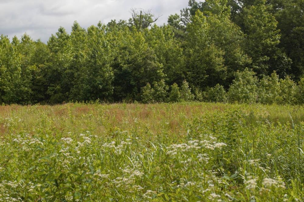 Buck Shoals Road Gaffney, SC 29341 - Photo 9 of 20