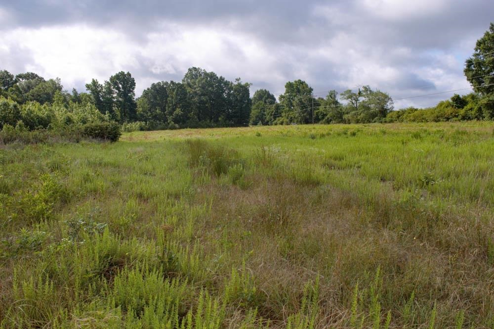 Buck Shoals Road Gaffney, SC 29341 - Photo 10 of 20
