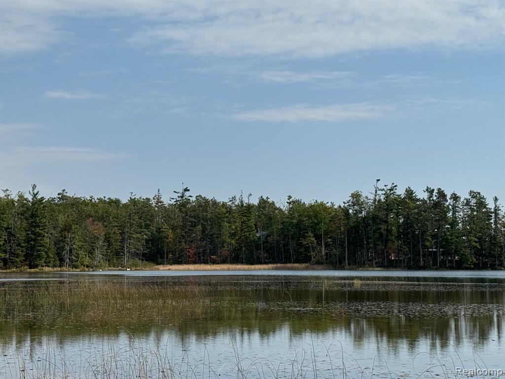 1475 Aarons Road Lewiston, MI 49756 - Photo 12 of 84