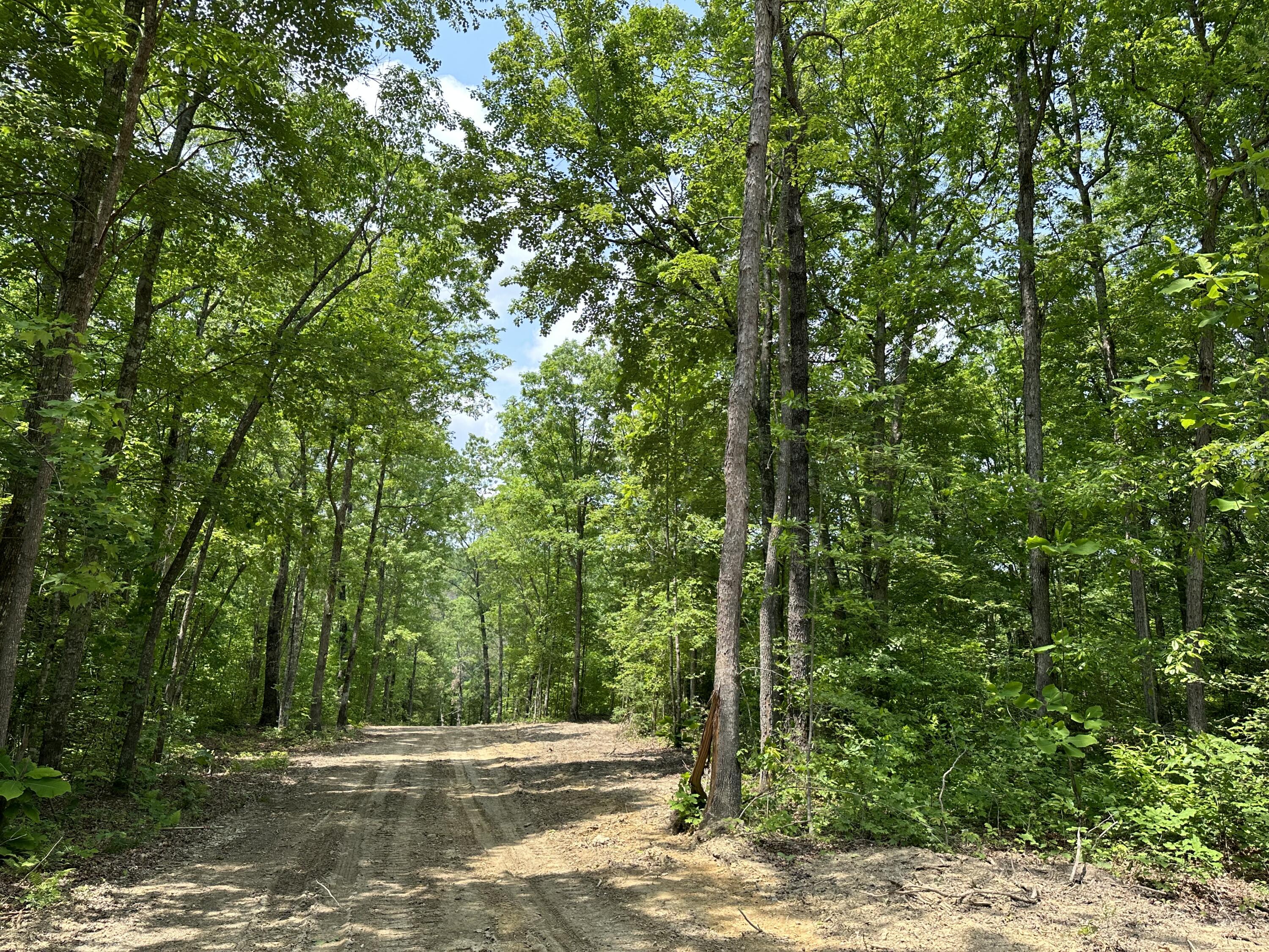 6 Big Sky Road Corbin, KY 40701 - Photo 4 of 12 IMG_5854