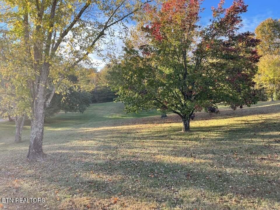 196 Old Sampson Road Pikeville, TN 37367 - Photo 38 of 47 Gallery Image 38