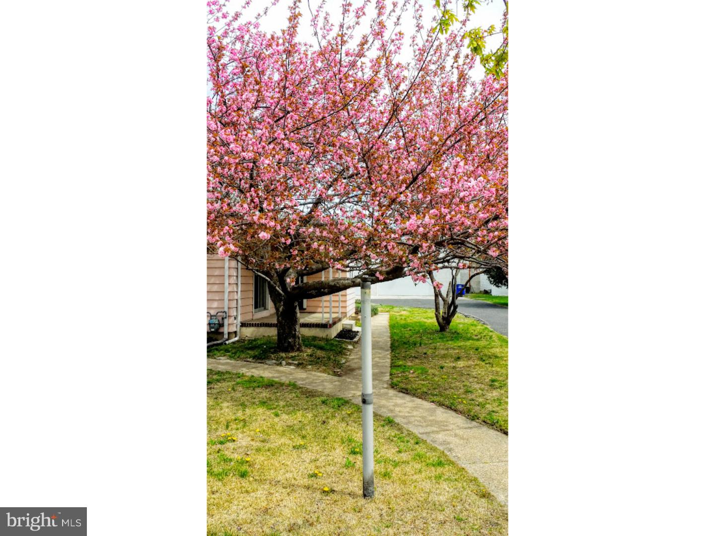 513 Cleveland Avenue Riverside, NJ 08075 - Photo 2 of 13