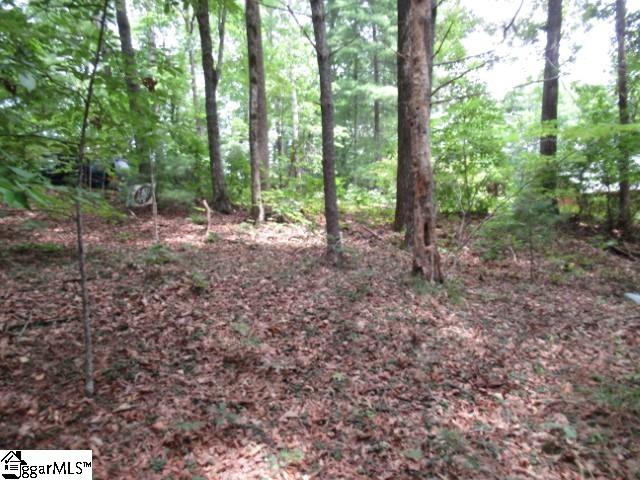 425 Whispering Falls Road Pickens, SC 29671 - Photo 2 of 24 Gallery Image 2