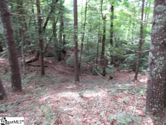 425 Whispering Falls Road Pickens, SC 29671 - Photo 7 of 24 Gallery Image 7