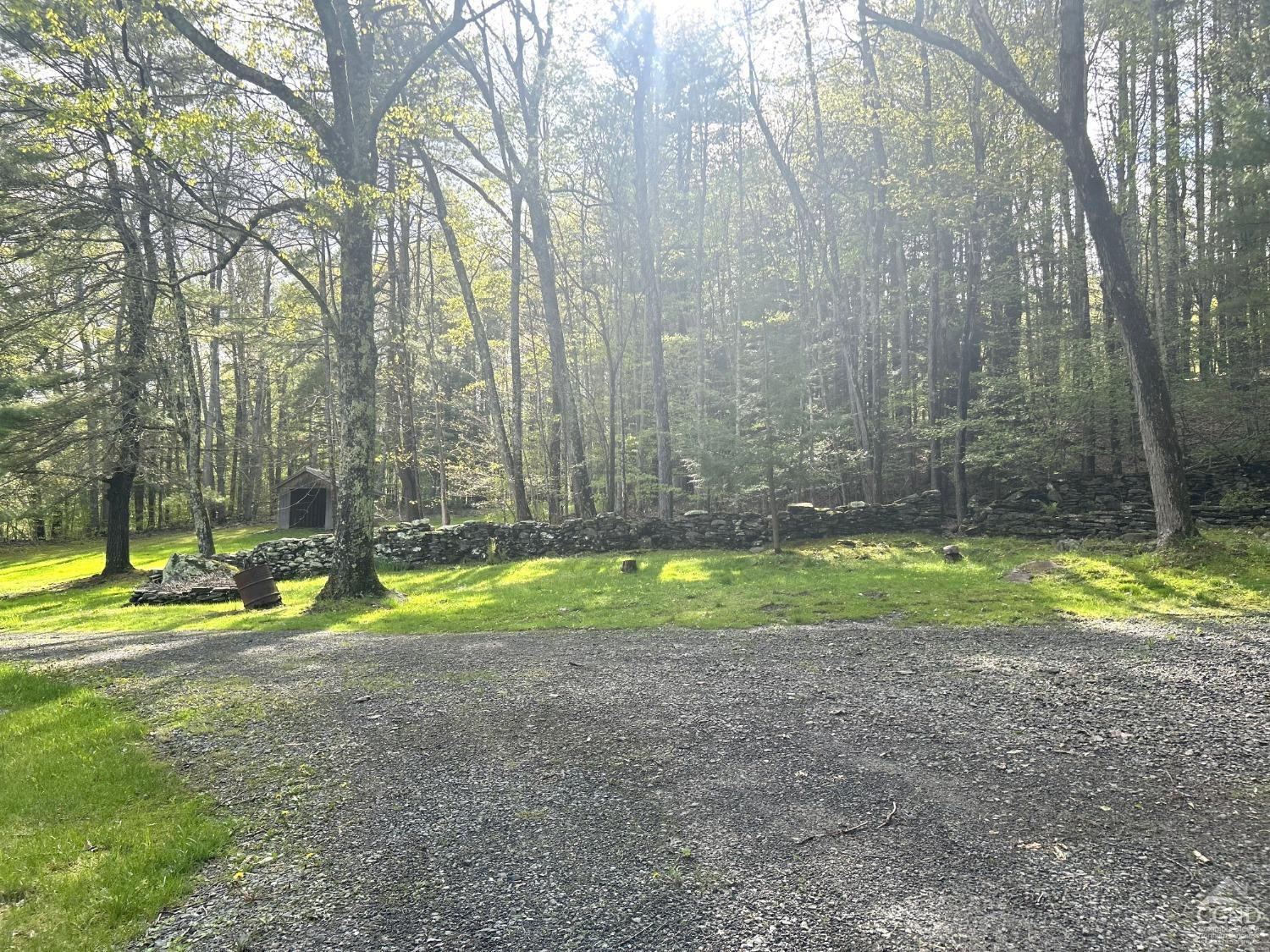 169 Rt 4 Prattsville, NY 12468 - Photo 27 of 43 a view of swimming pool with a yard and large trees