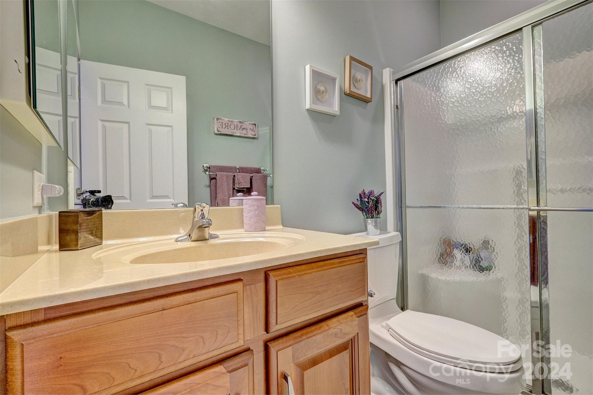 819 Platinum Drive Fort Mill, SC 29708 - Photo 22 of 44 Gallery Image 22