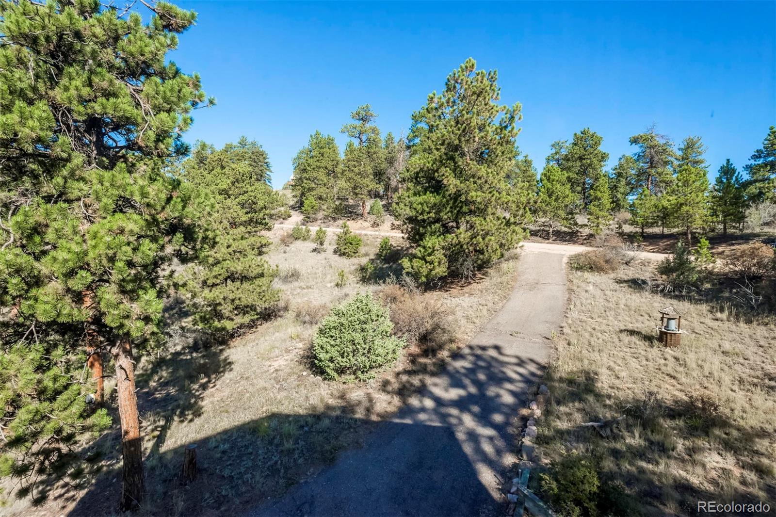 1041 Impala Trail Bailey, CO 80421 - Photo 18 of 34 Gallery Image 18