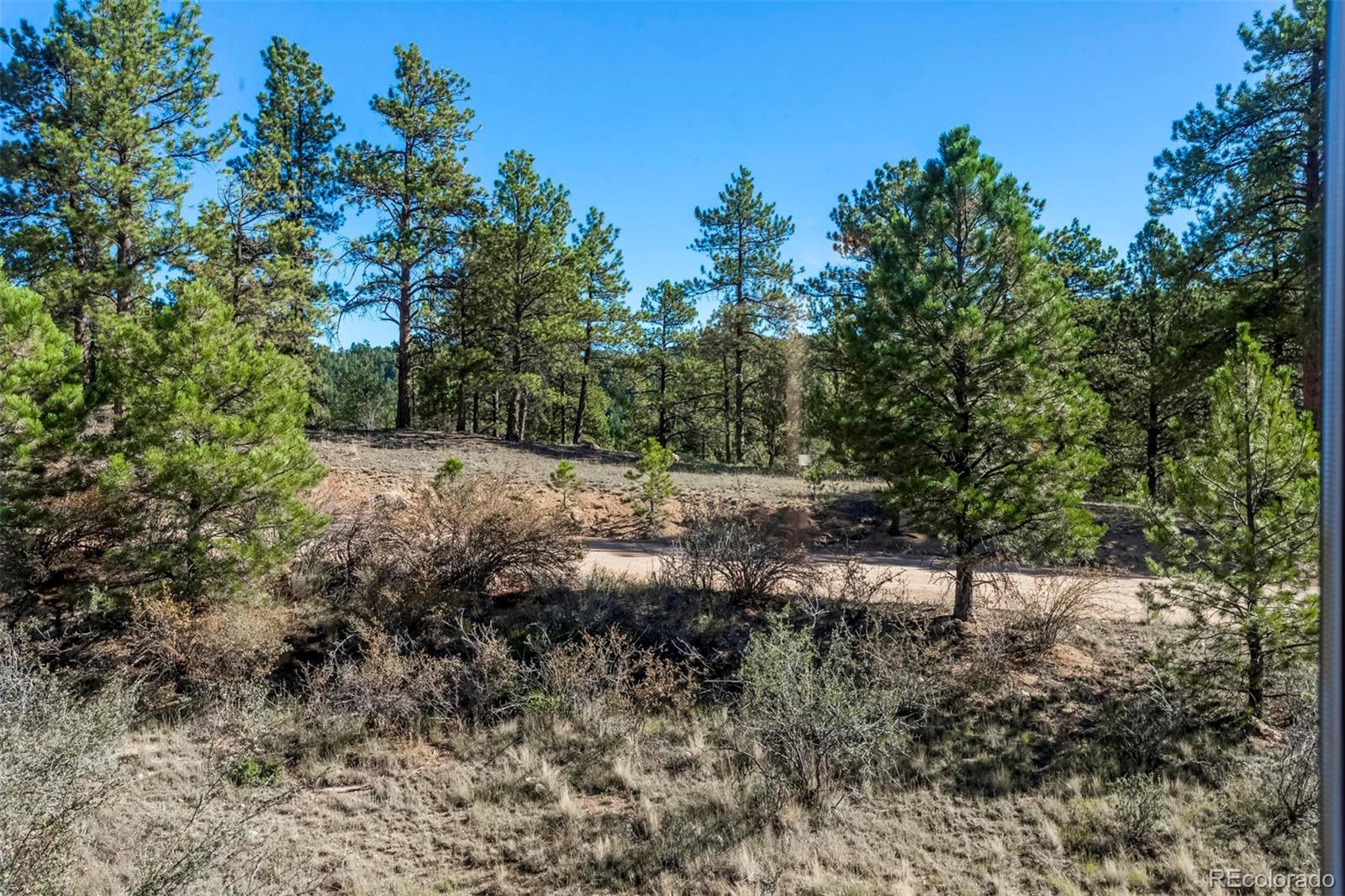 1041 Impala Trail Bailey, CO 80421 - Photo 21 of 34 Gallery Image 21