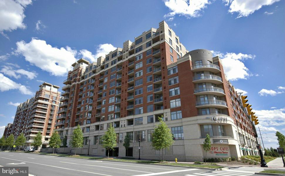 3600 South Glebe Road, Unit 602W Arlington, VA 22202 - Photo 2 of 30 Exterior (General)