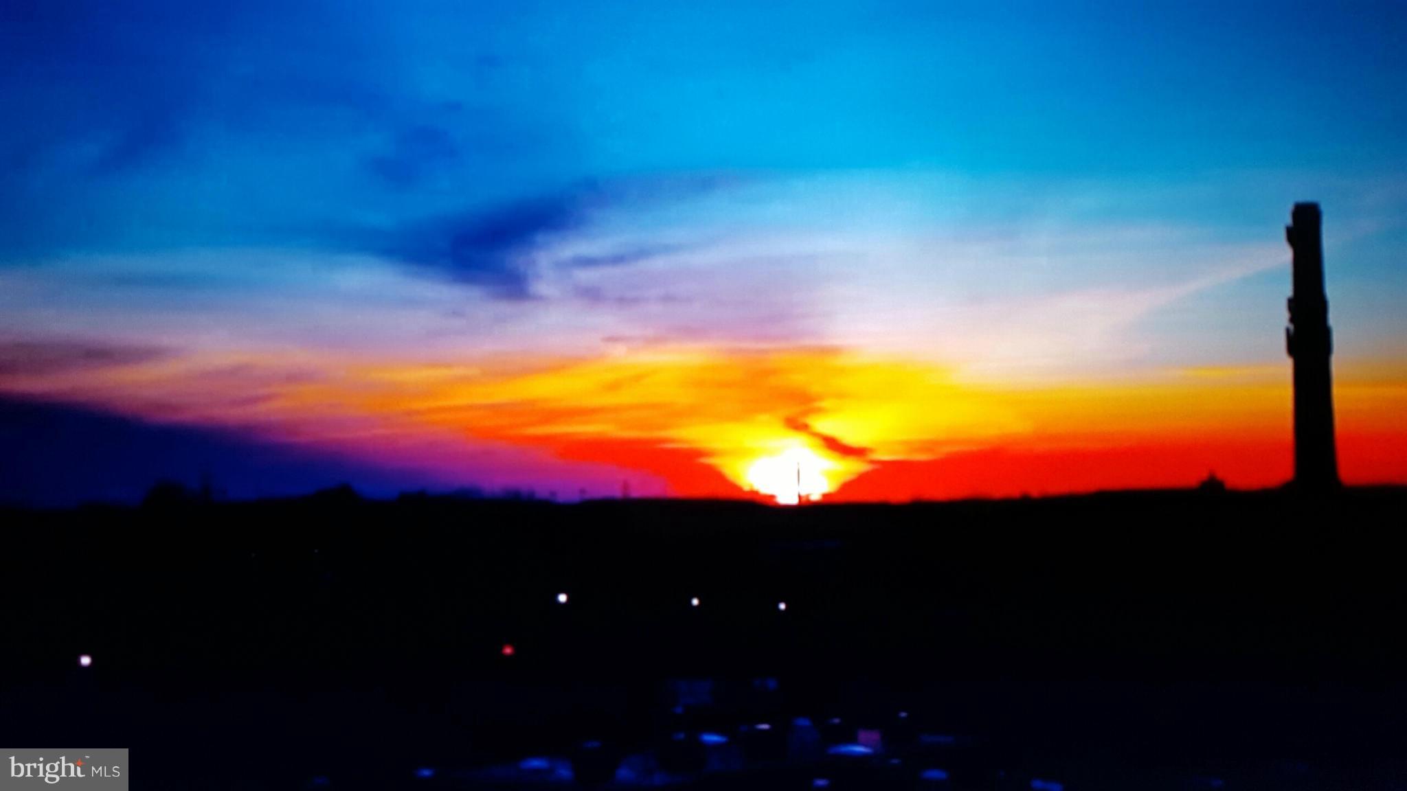 3600 South Glebe Road, Unit 602W Arlington, VA 22202 - Photo 15 of 30 View