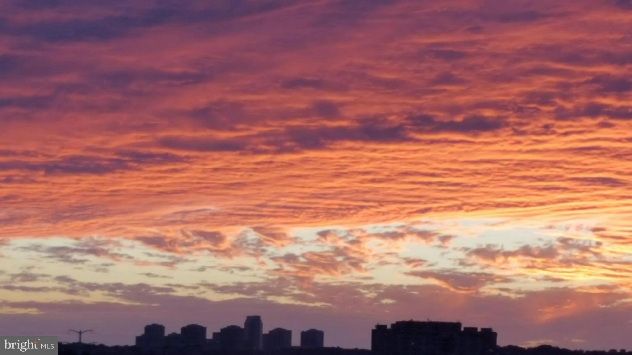 3600 South Glebe Road, Unit 602W Arlington, VA 22202 - Photo 16 of 30 View