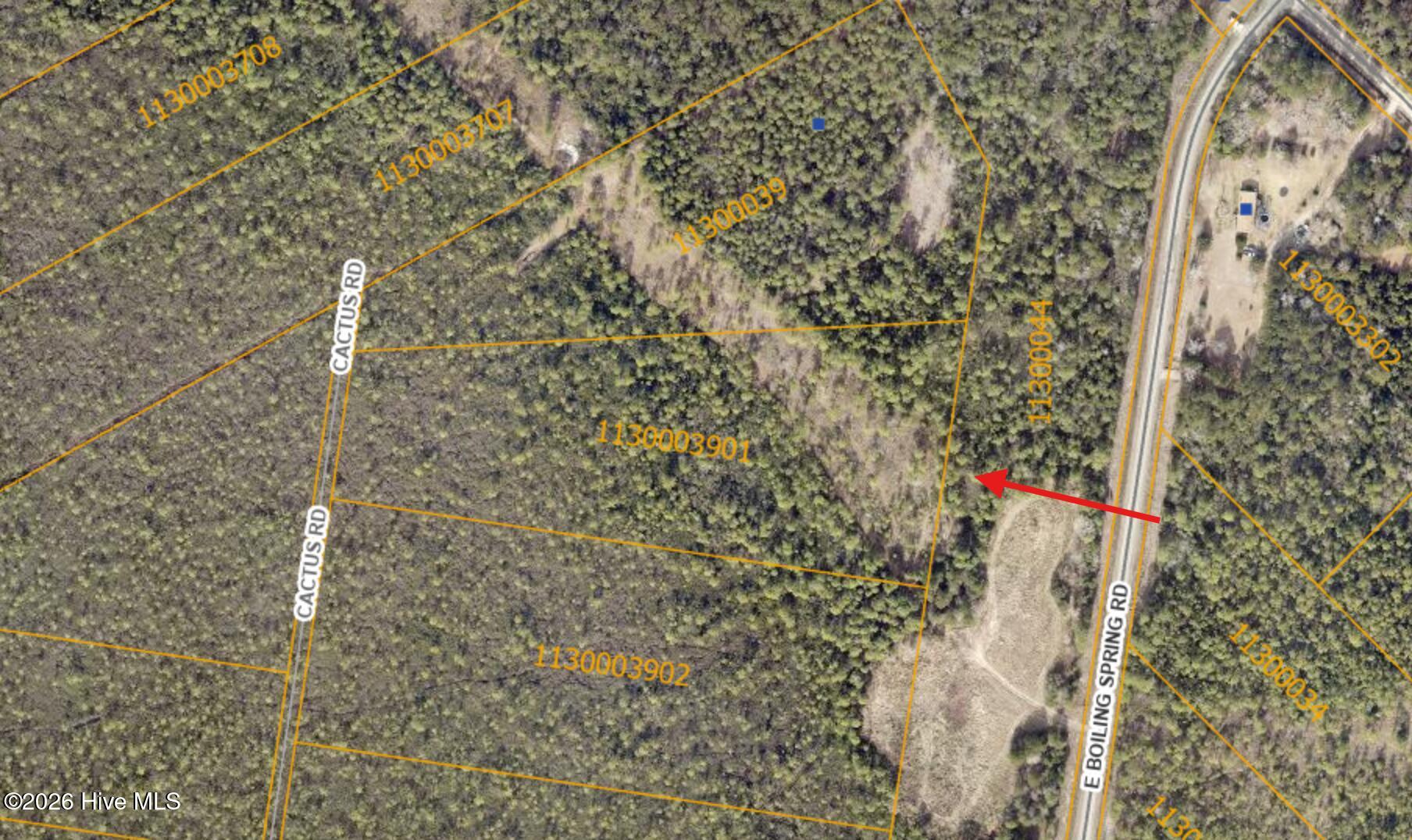 Tr-48 Cactus Road Southport, NC 28461 - Photo 3 of 3 GIS land