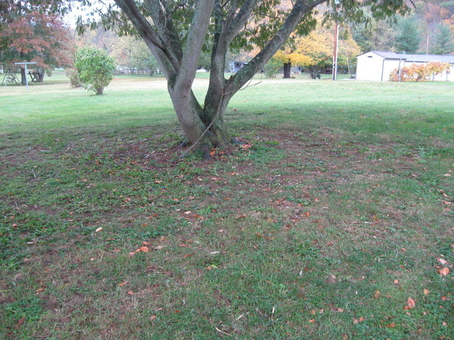 602 Mill Road Pembroke, VA 24136 - Photo 11 of 11 YARD