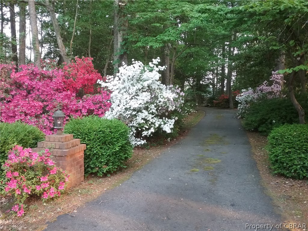 1440 Victory Hill Road Hayes, VA 23072 - Photo 3 of 45 Private meandering asphalt driveway with beautiful azaleas in the springtime