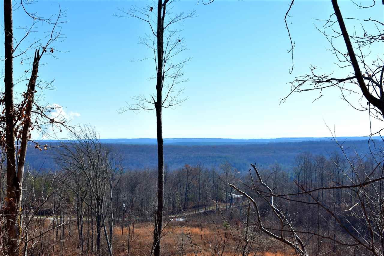 767 Big Ridge Road Spring City, TN 37381 - Photo 2 of 12 Gallery Image 2