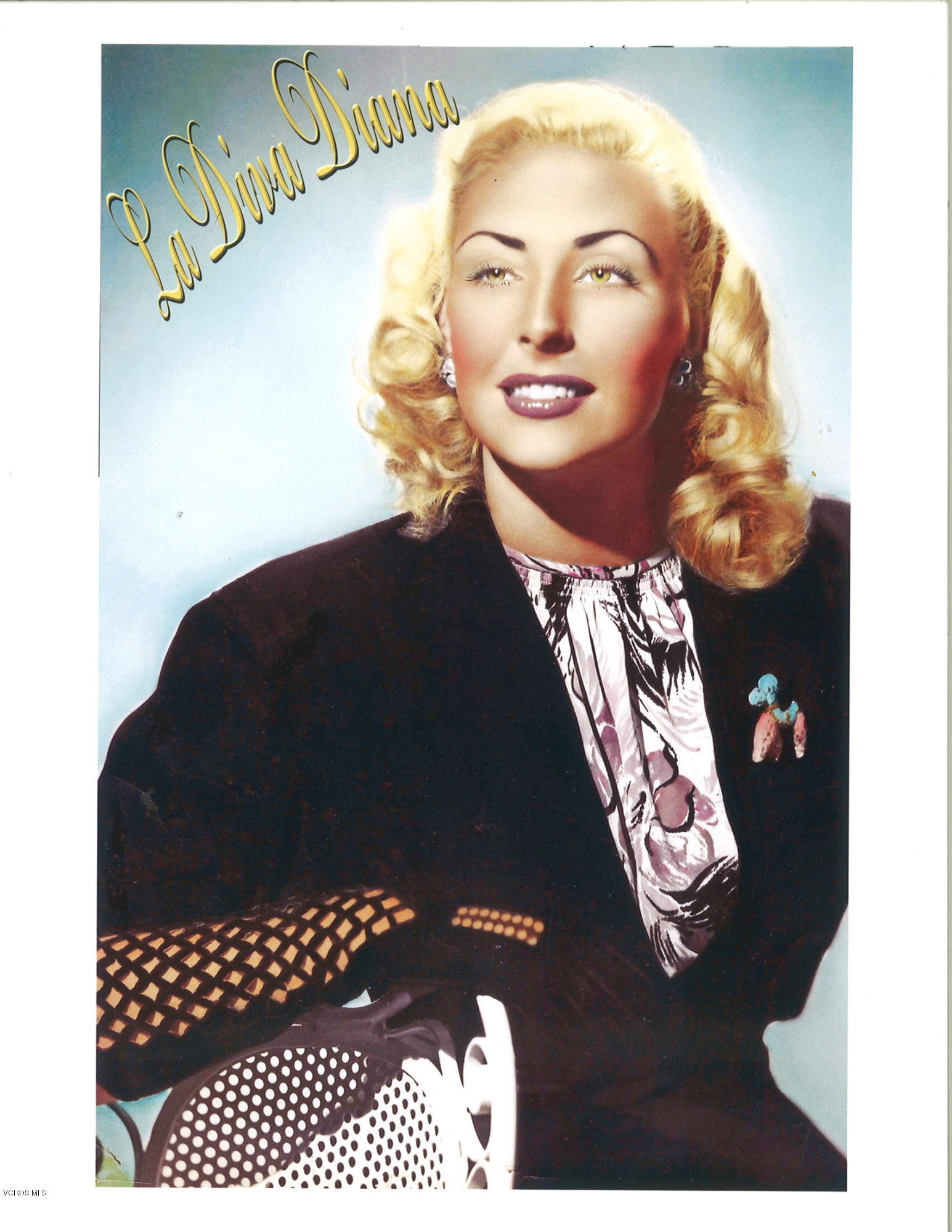 679 Crestview Avenue Camarillo, CA 93010 - Photo 37 of 38 4377_001