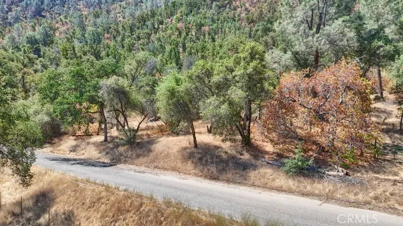 0 Mountain View Raymond, CA 93653 - Photo 16 of 20 a view of a yard with a tree