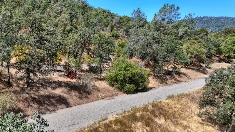 0 Mountain View Raymond, CA 93653 - Photo 17 of 20 a view of a forest with a tree