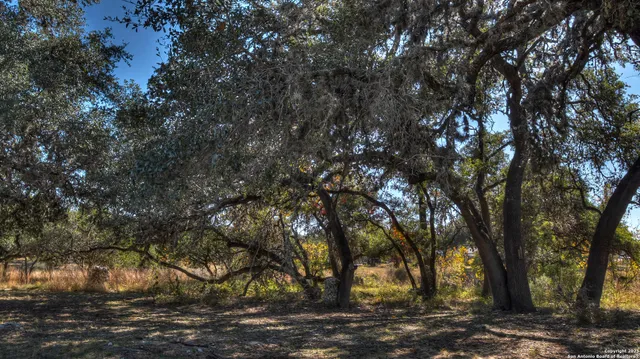 a view of that has large trees