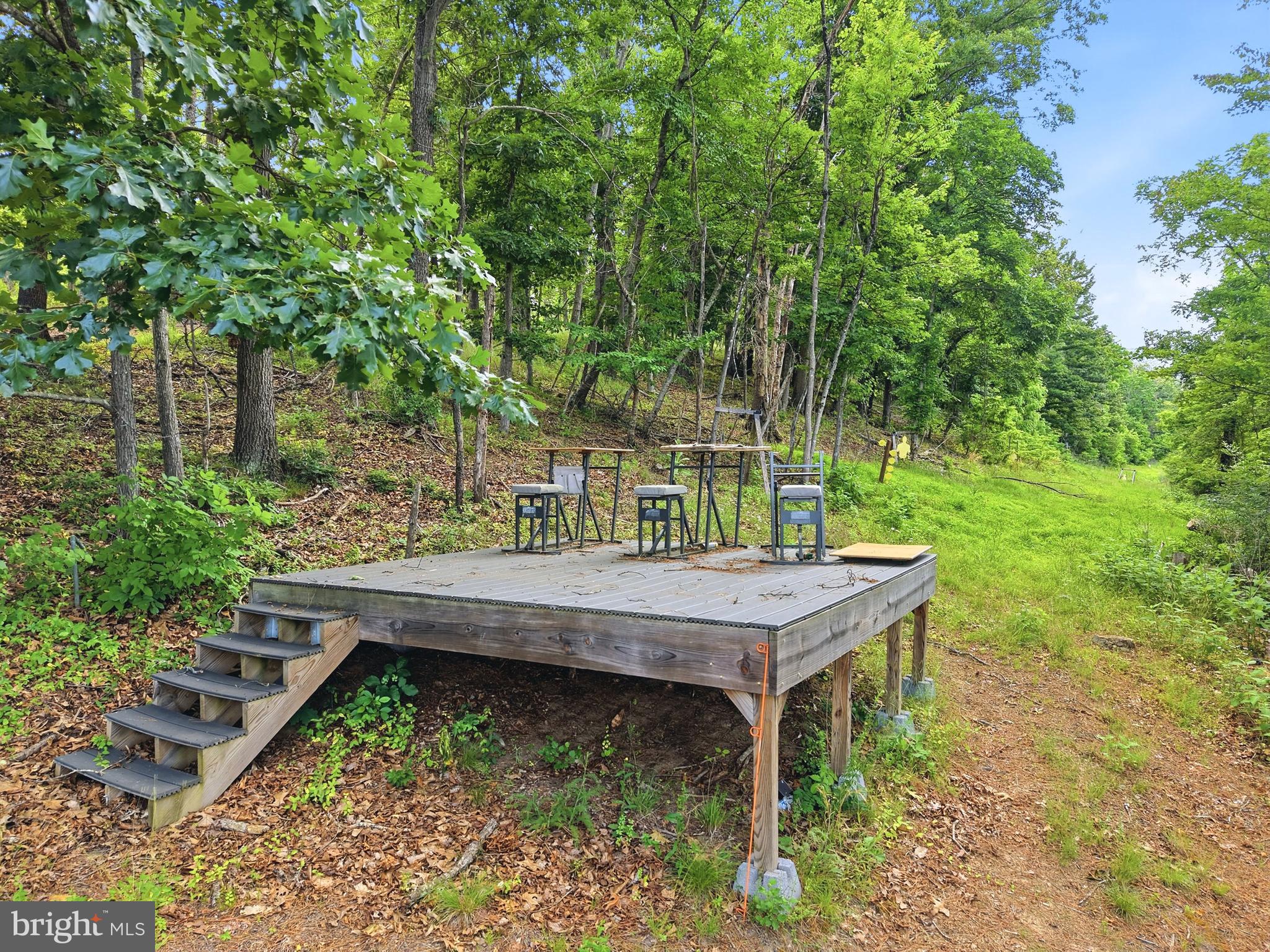 527 Panhandle Road Bentonville, VA 22610 - Photo 33 of 51