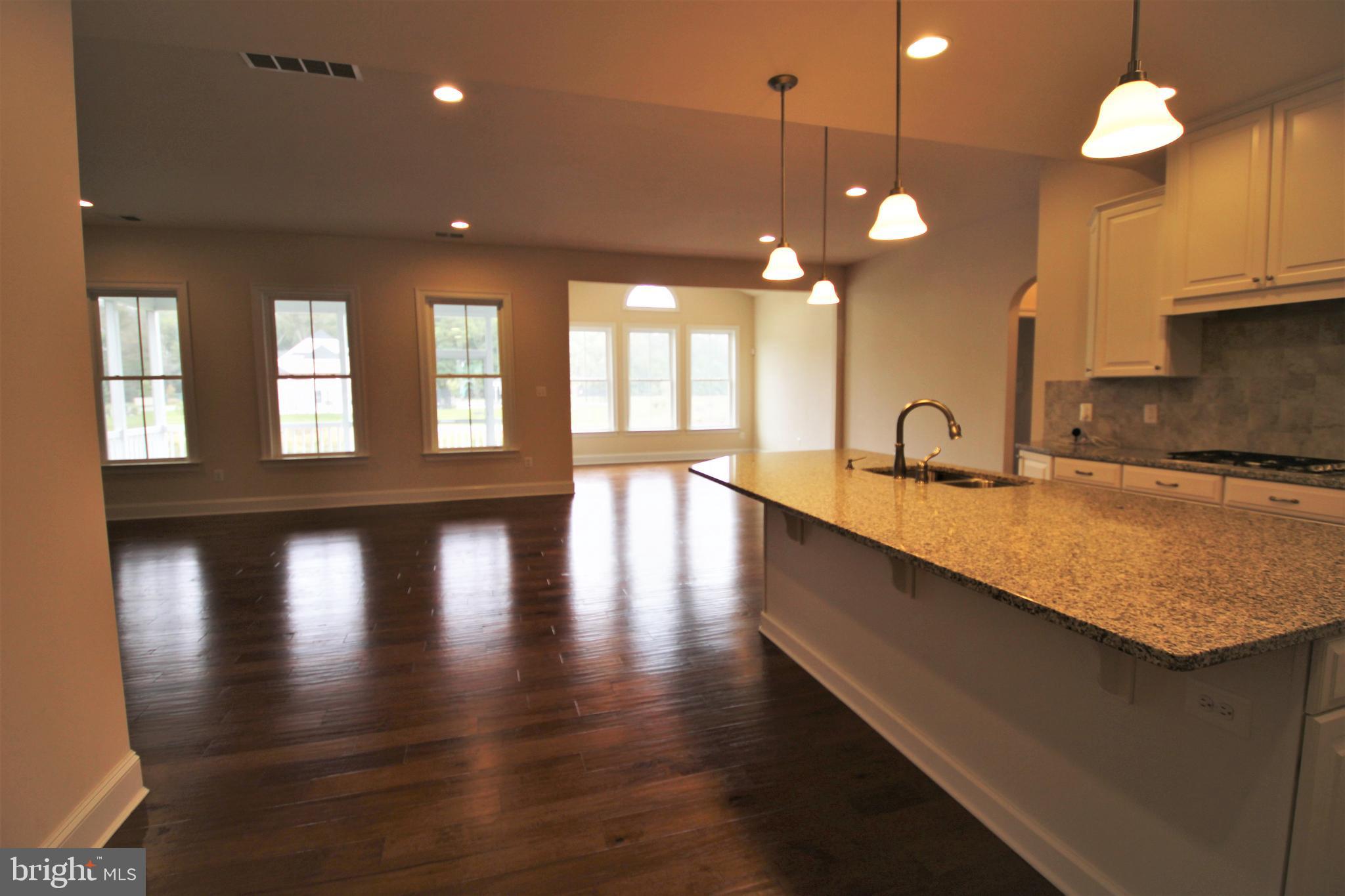32997 Venezia Way Ocean View, DE 19970 - Photo 16 of 50 Granite Counter Tops
