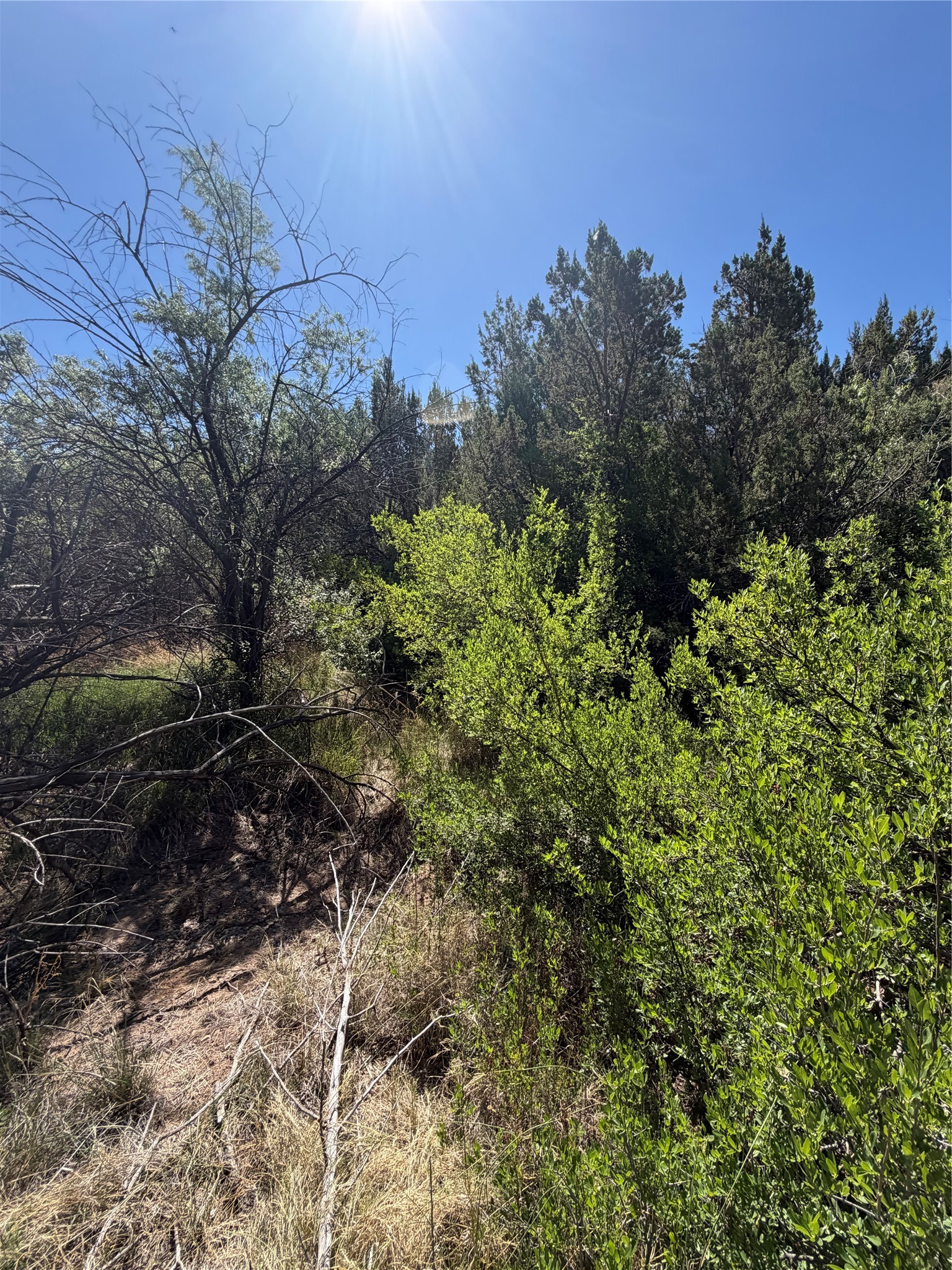 7 C Rancho De Shama, Unit B Cerrillos, NM 87010 - Photo 19 of 26