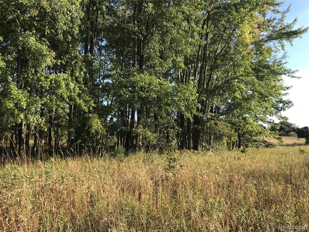 V/l Wasson Road Gregory, MI 48137 - Photo 10 of 16 Gallery Image 10