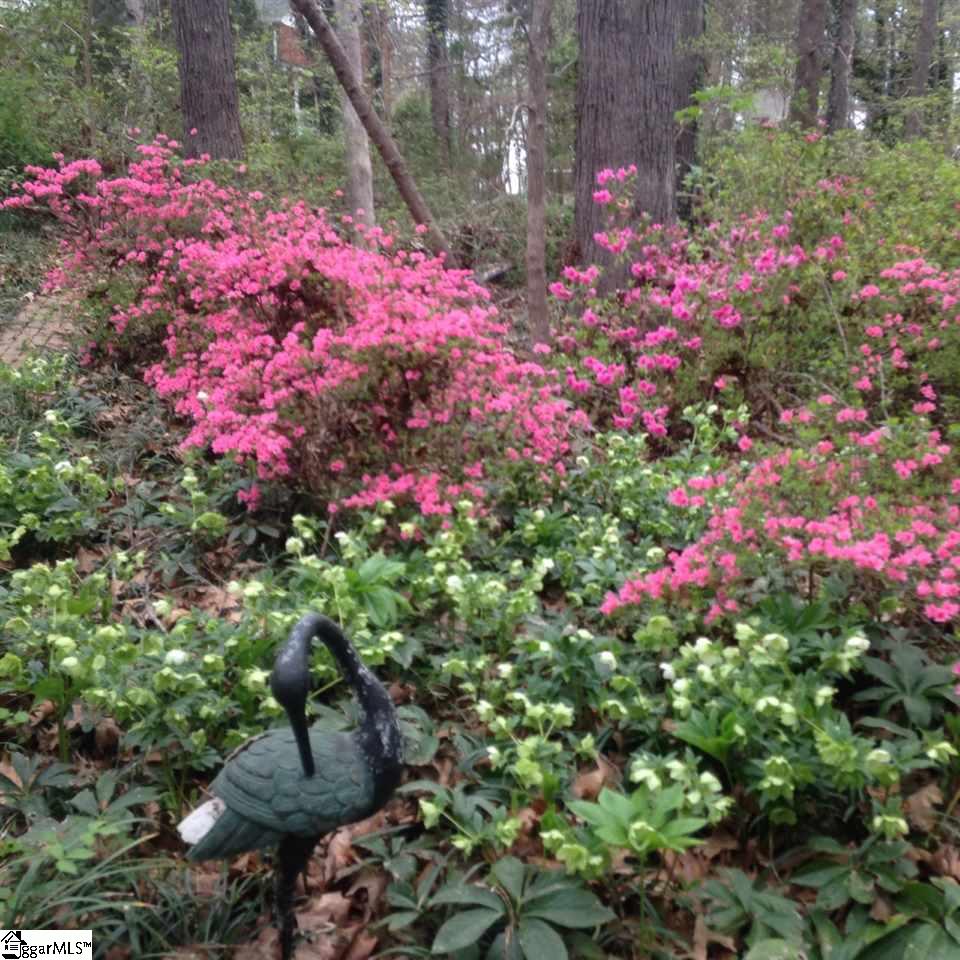 212 Sweet Gum Trail Anderson, SC 29621 - Photo 29 of 34