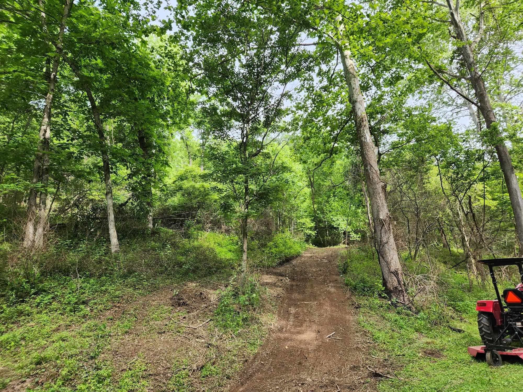 0 Clay Hollow Road Rush, KY 41168 - Photo 31 of 50 Gallery Image 31