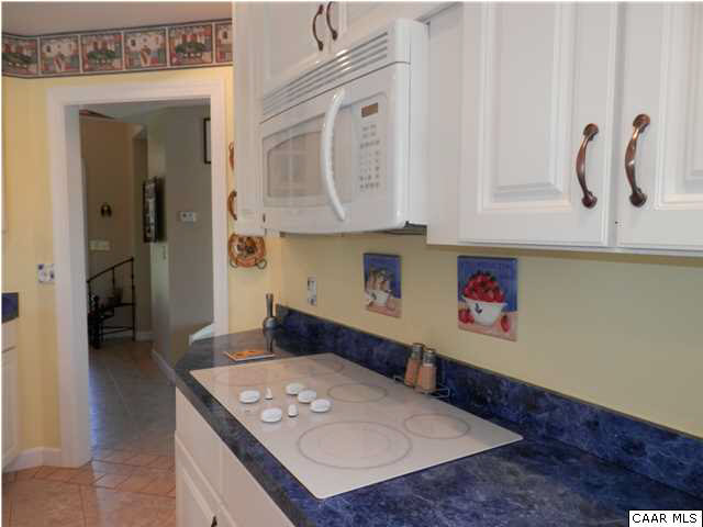 22140 Monrovia Road Orange, VA 22960 - Photo 19 of 43 Cook top, microwave range hood