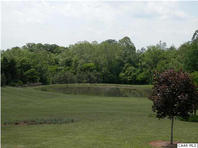 22140 Monrovia Road Orange, VA 22960 - Photo 33 of 43 View of pond from house, pond is stocked with Bass, Bluegill, Redear & Catfish.