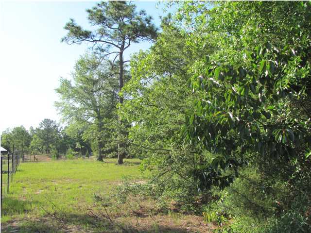2.7-ac Quail Ridge Road DeFuniak Springs, FL 32435 - Photo 4 of 8 Additional Photo