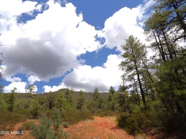 $354,900 | 18-e Pine Hollow Trail, Unit 18E & 014U, Pine, AZ 85544