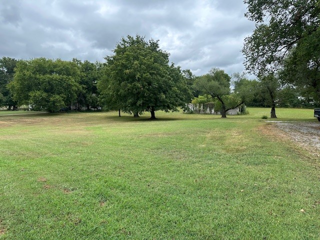 235 Old Mulberry Road Fayetteville, TN 37334 - Photo 29 of 37 a view of a field with trees in the background