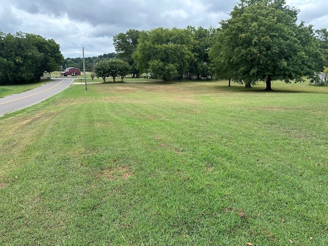 235 Old Mulberry Road Fayetteville, TN 37334 - Photo 30 of 37 a view of a big yard with a big yard
